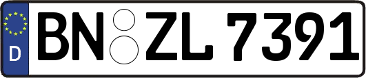 BN-ZL7391