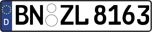 BN-ZL8163