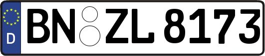 BN-ZL8173