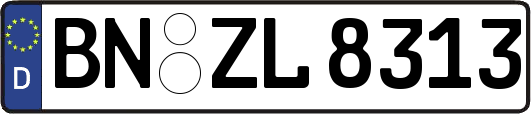 BN-ZL8313