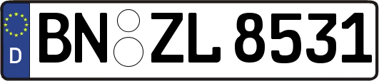 BN-ZL8531