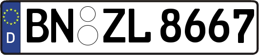 BN-ZL8667