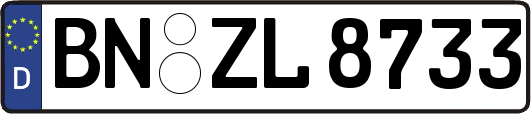BN-ZL8733