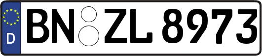 BN-ZL8973