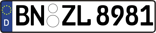 BN-ZL8981