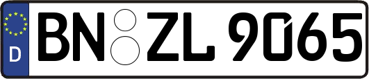 BN-ZL9065