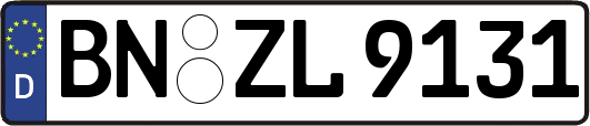 BN-ZL9131
