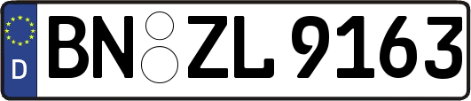 BN-ZL9163