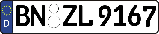 BN-ZL9167