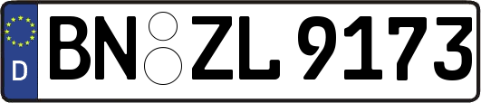 BN-ZL9173