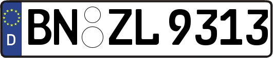 BN-ZL9313