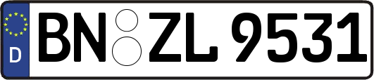 BN-ZL9531