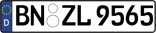 BN-ZL9565