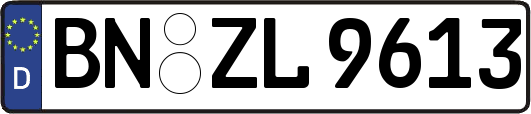 BN-ZL9613