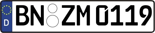 BN-ZM0119