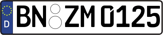 BN-ZM0125