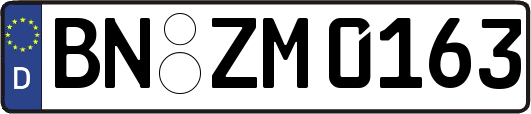 BN-ZM0163