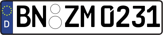 BN-ZM0231
