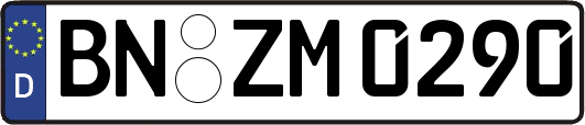 BN-ZM0290