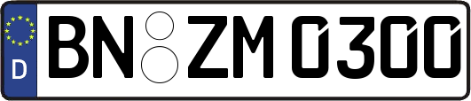 BN-ZM0300