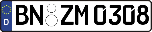 BN-ZM0308