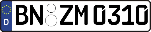 BN-ZM0310