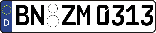 BN-ZM0313