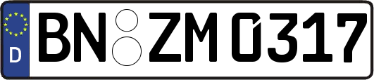 BN-ZM0317