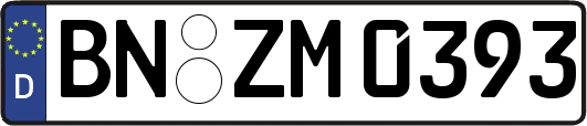 BN-ZM0393