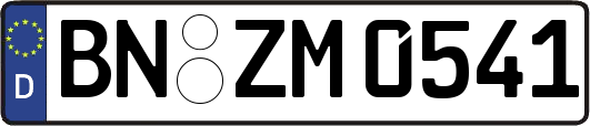 BN-ZM0541