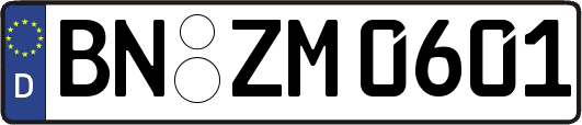 BN-ZM0601