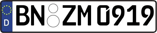 BN-ZM0919