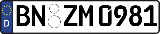 BN-ZM0981
