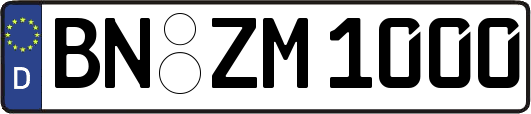 BN-ZM1000