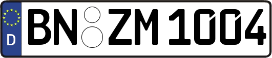 BN-ZM1004