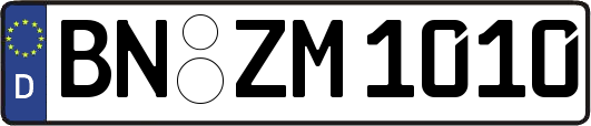 BN-ZM1010