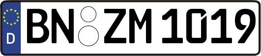 BN-ZM1019