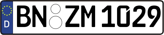 BN-ZM1029