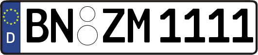 BN-ZM1111