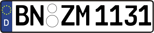 BN-ZM1131