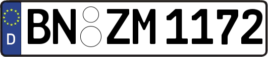BN-ZM1172