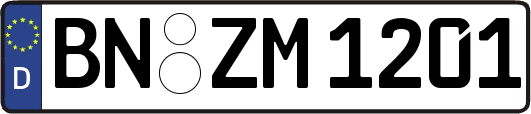 BN-ZM1201