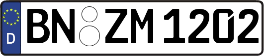 BN-ZM1202