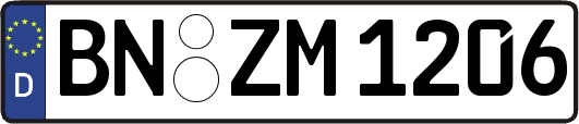 BN-ZM1206