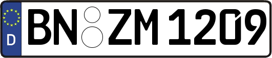 BN-ZM1209