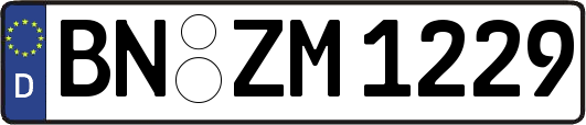 BN-ZM1229