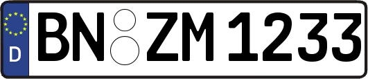 BN-ZM1233