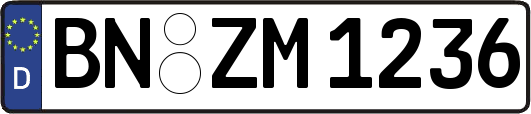 BN-ZM1236