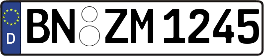 BN-ZM1245