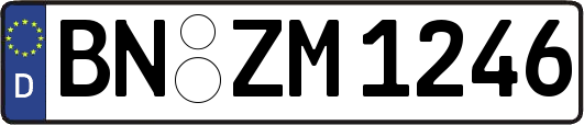 BN-ZM1246